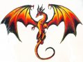 dark-dragon-spirit_logo 728-H.jpg